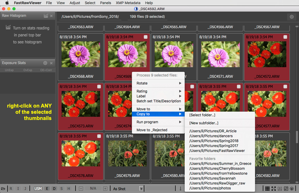 Sorting Photos with FastRawViewer FastRawViewer
