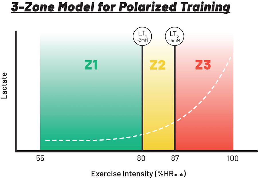 The Science Behind Polarized Training Fast Talk Laboratories
