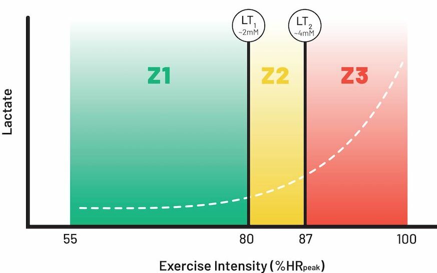 The Science Behind Polarized Training Fast Talk Laboratories