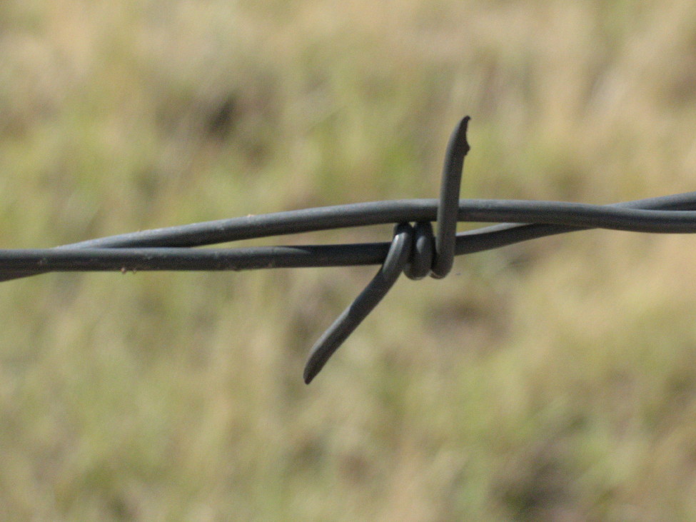 Settling the Great Plains Inventions and Adaptations