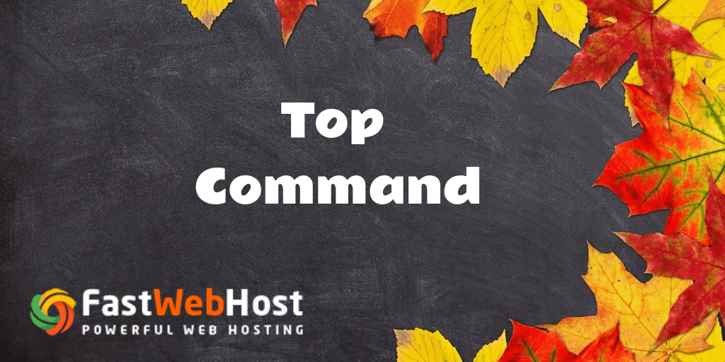 What is Top Command and How to Read Top Command?