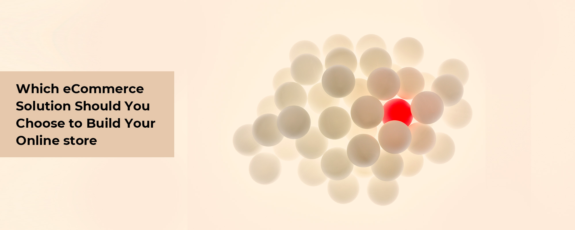 How to Select the Best Solution for Your Online Store?