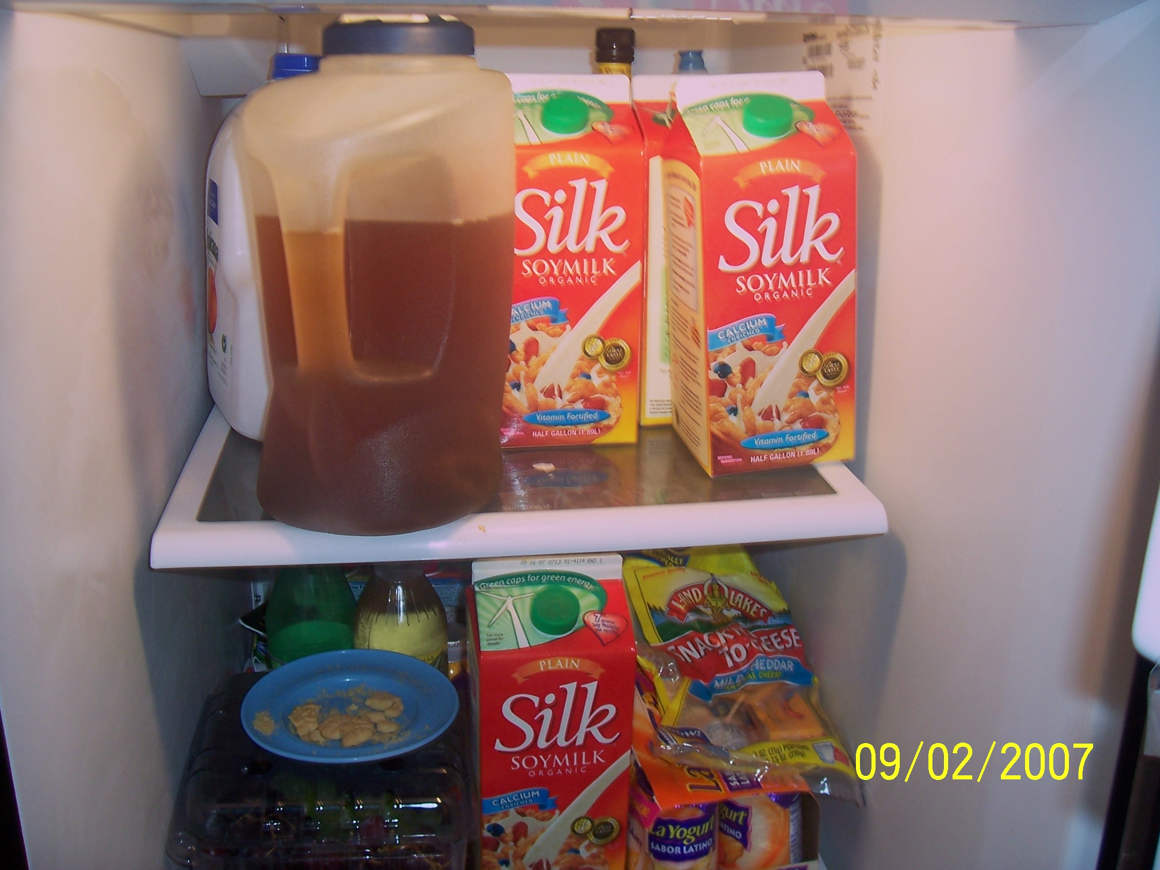 Soy Milk, Green Tea Fat Man Unleashed