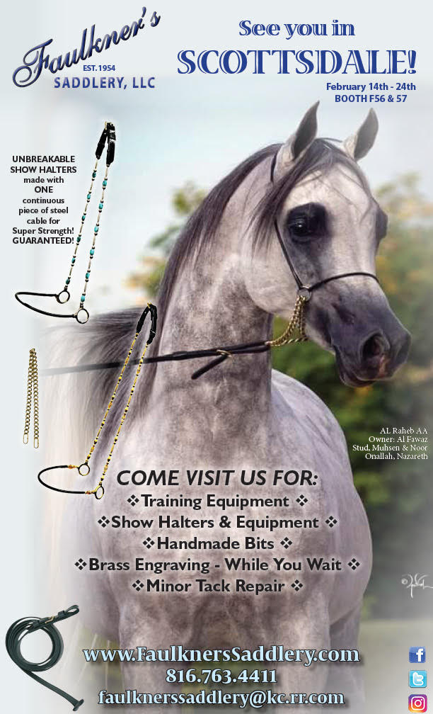 Horse Tack Faulkner's Saddlery LLC Kansas City MO