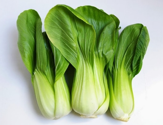 Cara Menanam dan Budidaya Pakcoy/Pak Choi Yang Baik Dan Benar