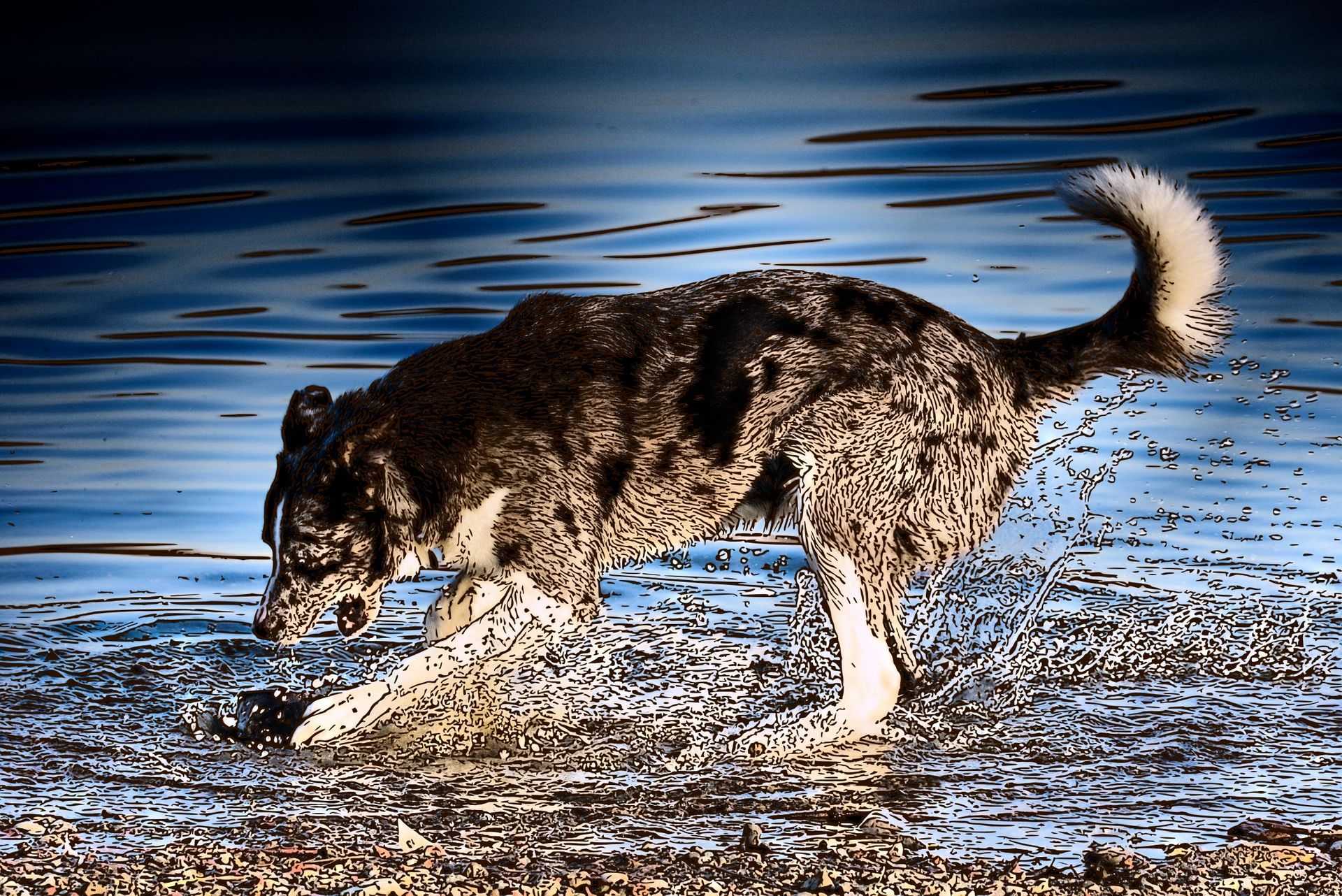 Il cane e il pezzo di carne Favole di Fedro