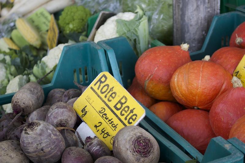 Agriculture Blog زراعة البطاطا في الخريف