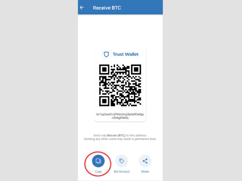 How to Find Trust Wallet Address (Step by Step Guide)
