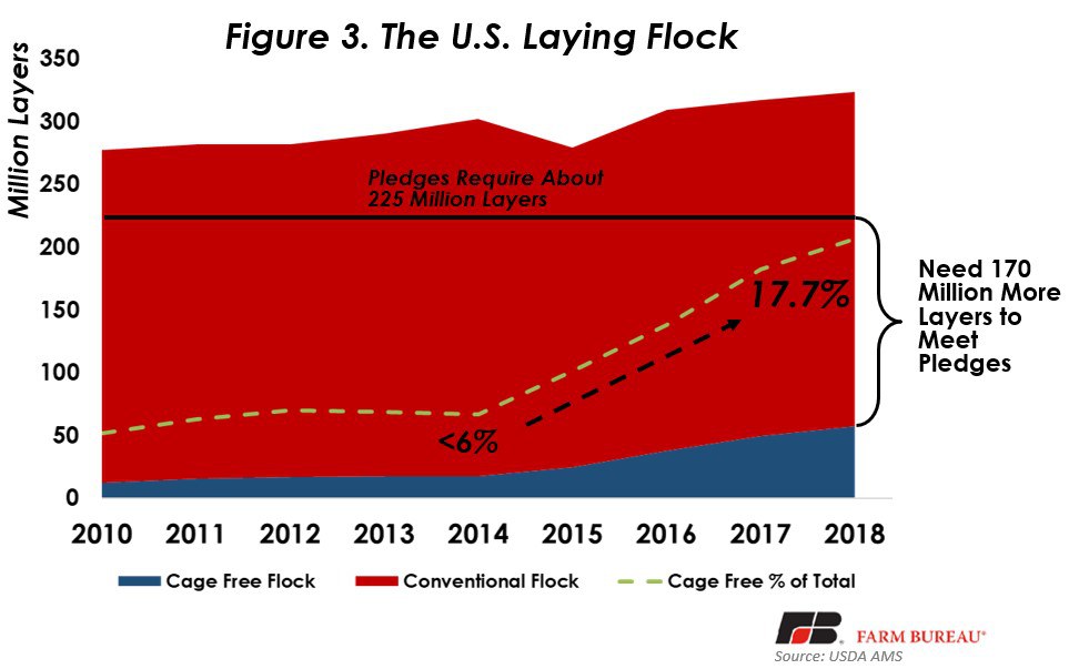 CageFree Eggs Were Once Expected to Dominate the Egg Market Market
