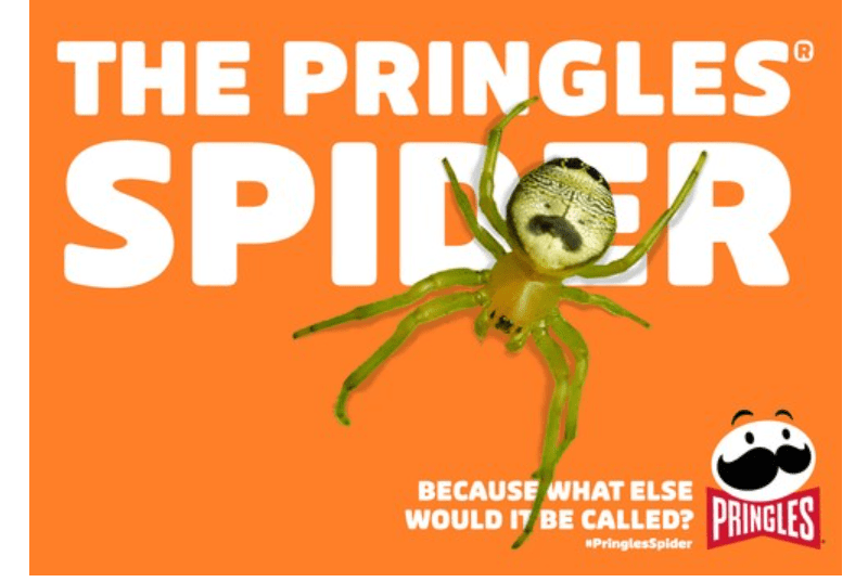 Stella Rosa Achieves GUINNESS WORLD RECORDS™ for Flute