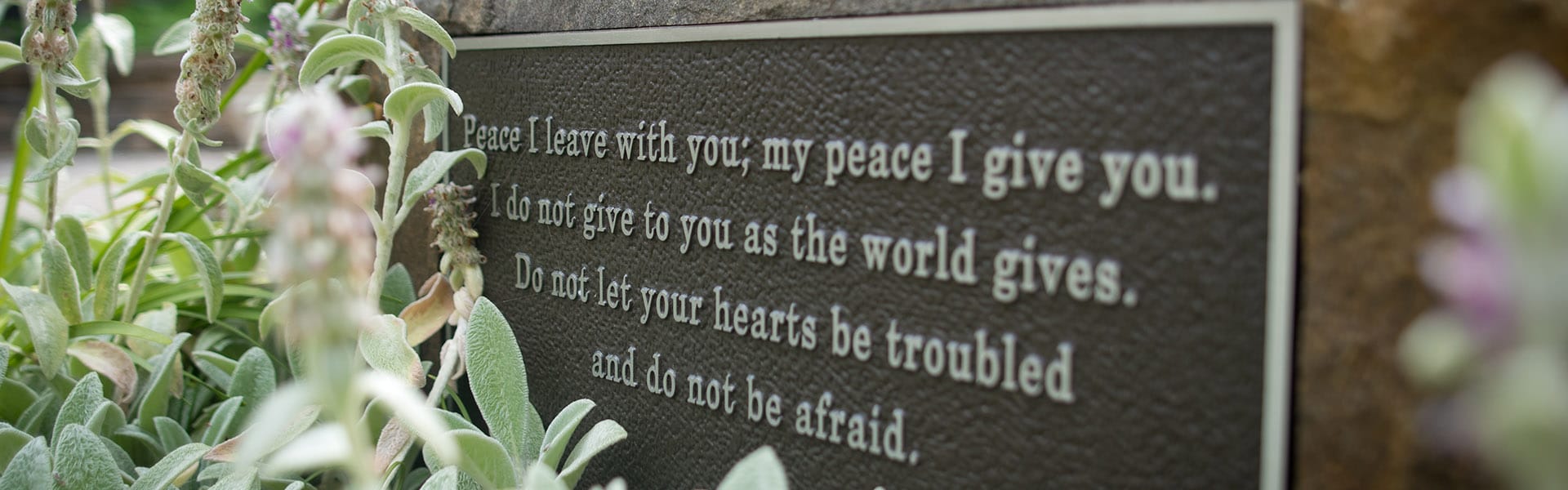 Global Hunger Relief First Baptist Owensboro