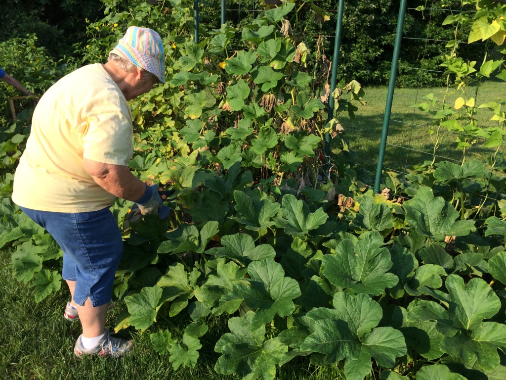 Fresh Fruits and Vegetables for Delaware’s Hungry Food Bank of Delaware