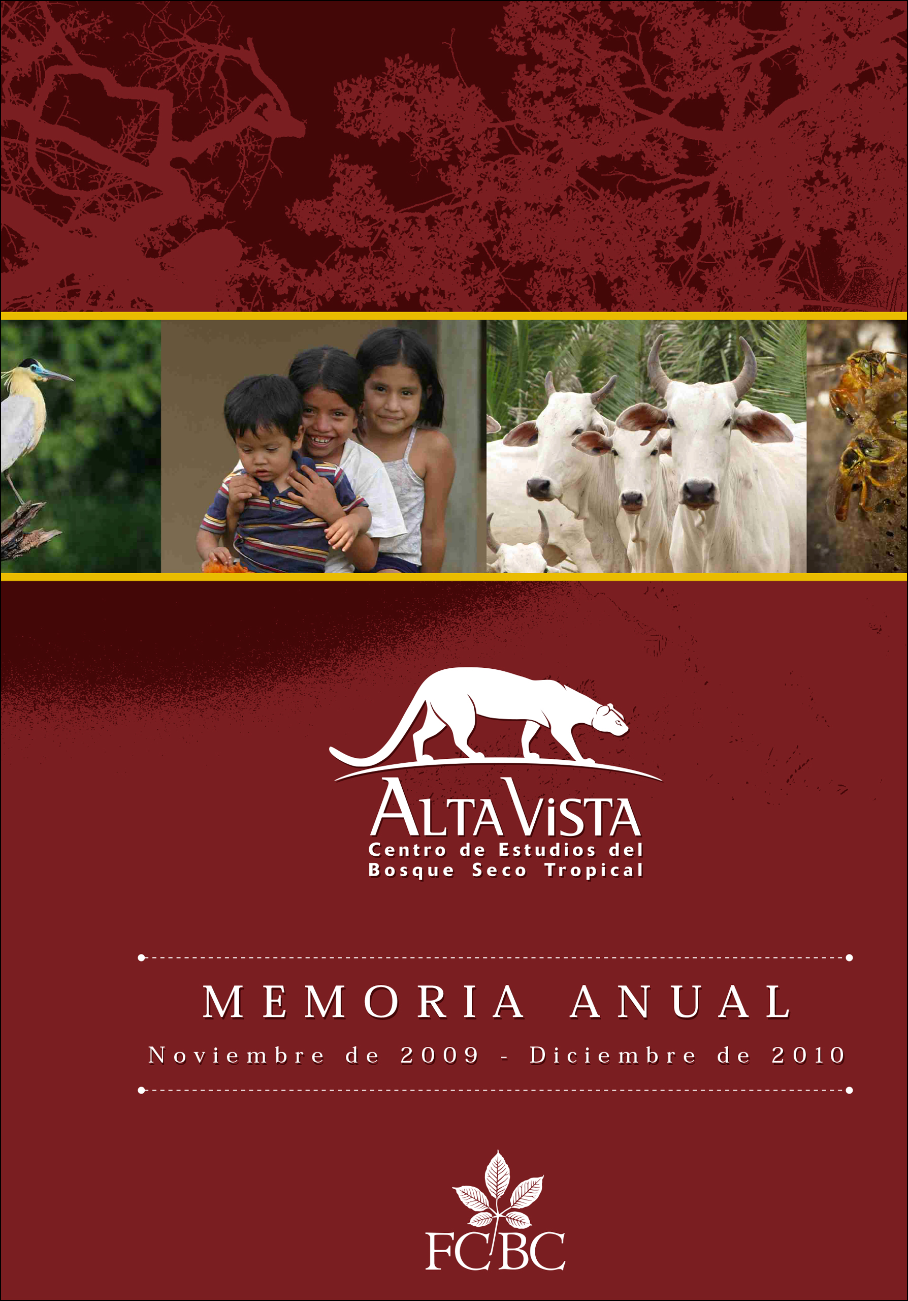 Memoria Alta Vista 2010 FCBC