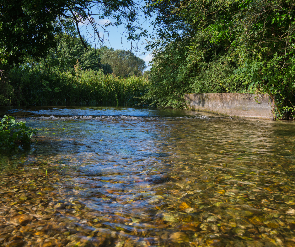 Andover Farm Consultancy