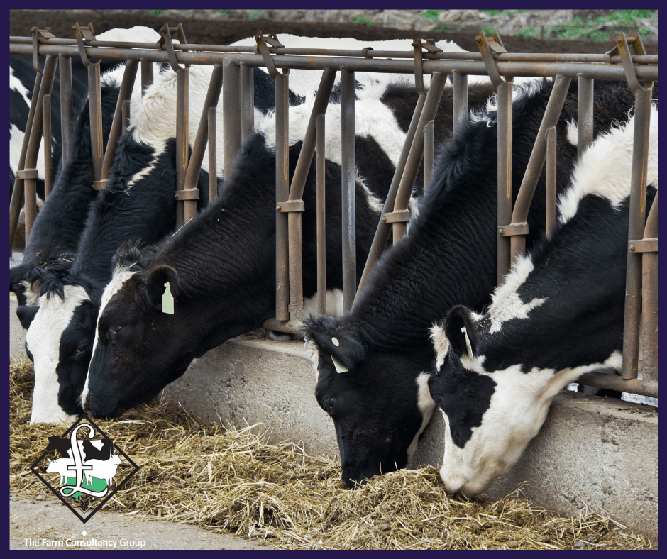 Contract Dairy Farming Opportunity In Devon 300 Cows Increasing to