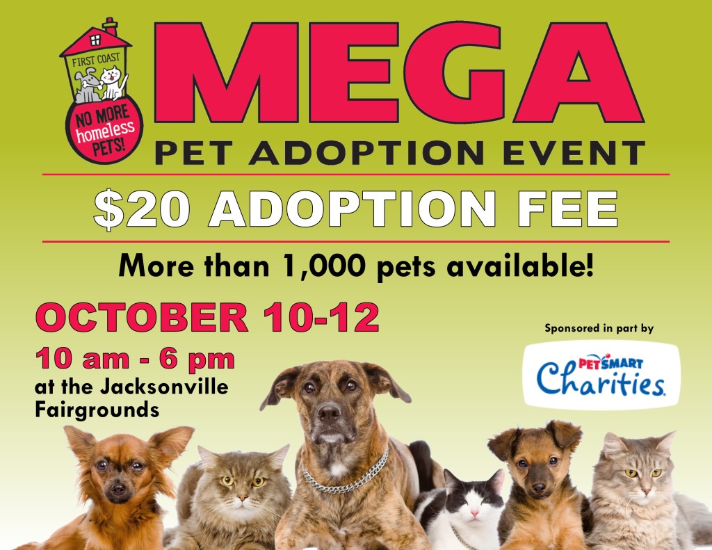 First Coast No More Homeless Pets » Adopt a Pet