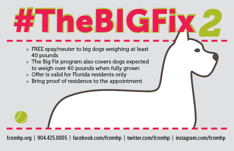 Fanxchange Customer Service Low Or No Cost Veterinary Services