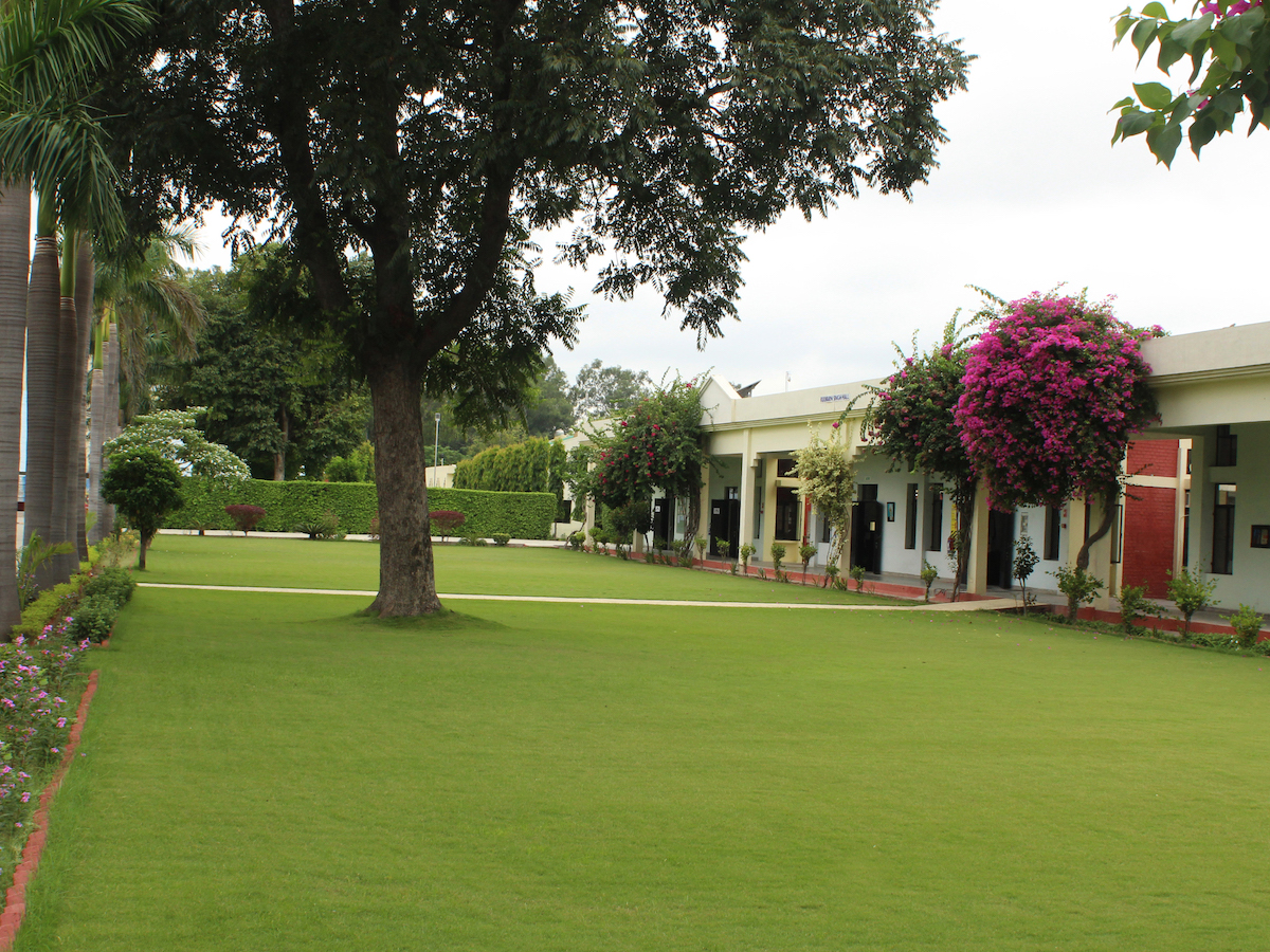 F.C.Sondhi & Co. (India) Pvt. Ltd. The Cricket Specialists Our