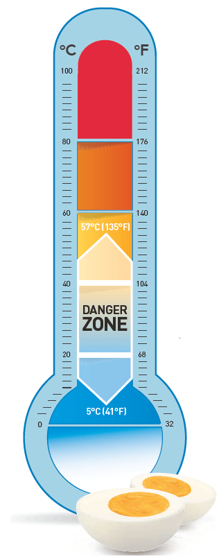 Assuring the Safety of Eggs and Menu and Deli Items Made From Raw 
