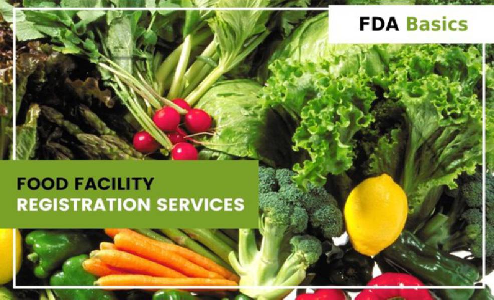 All You Need To Know About The FDA Food Facility Registration FDABasics