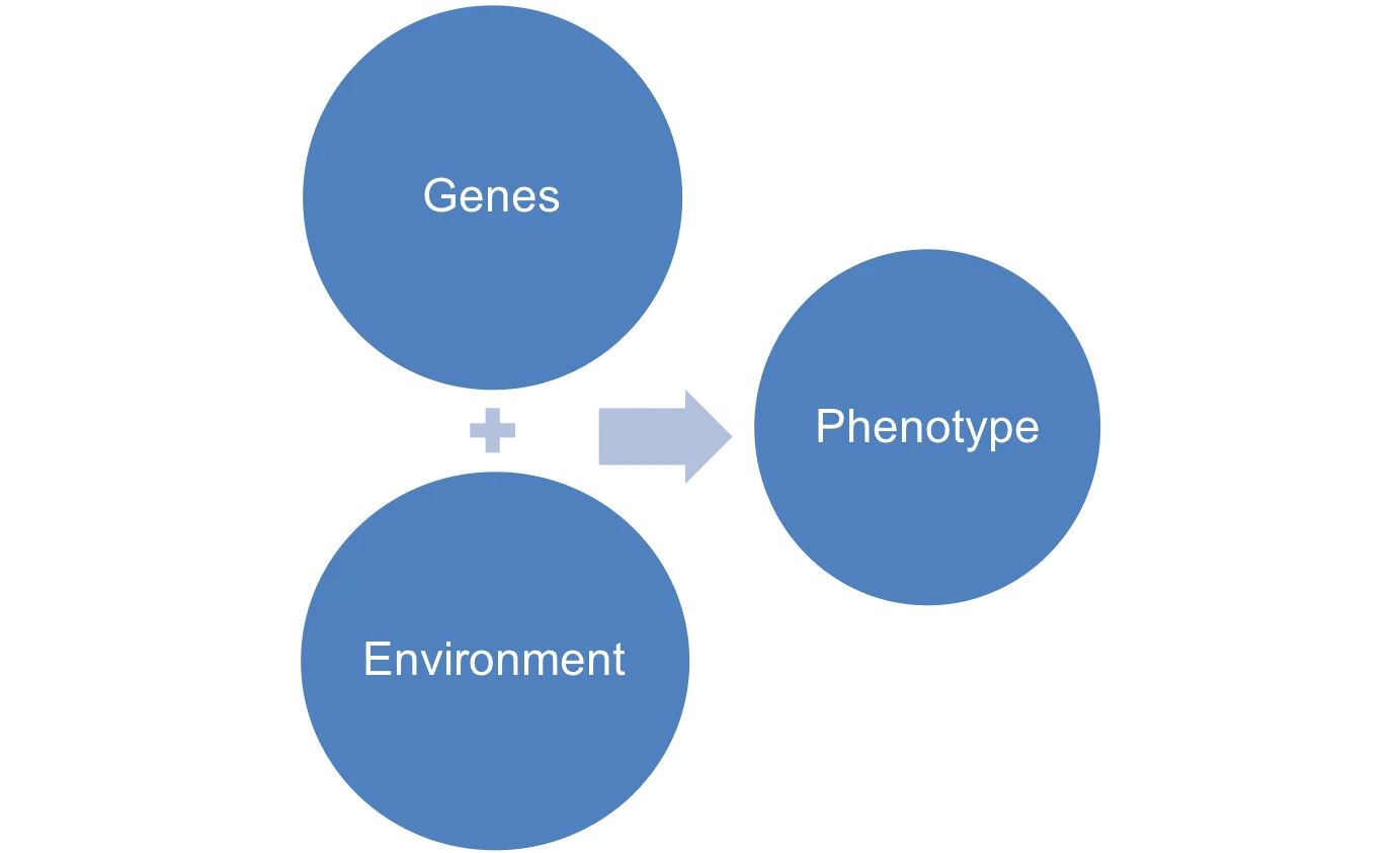 Genotype Vs Phenotype Venn Diagram
