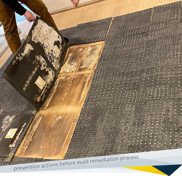 Step 2 Mold Prevention FDP Mold Remediation