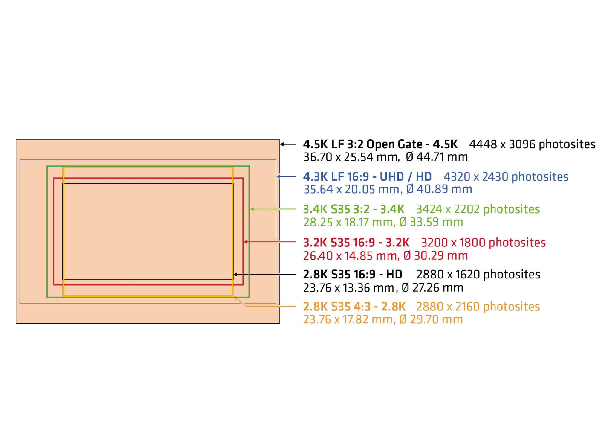 ALEXA Mini LF SUP 7.0 with Super35 Film and Digital TimesFilm and