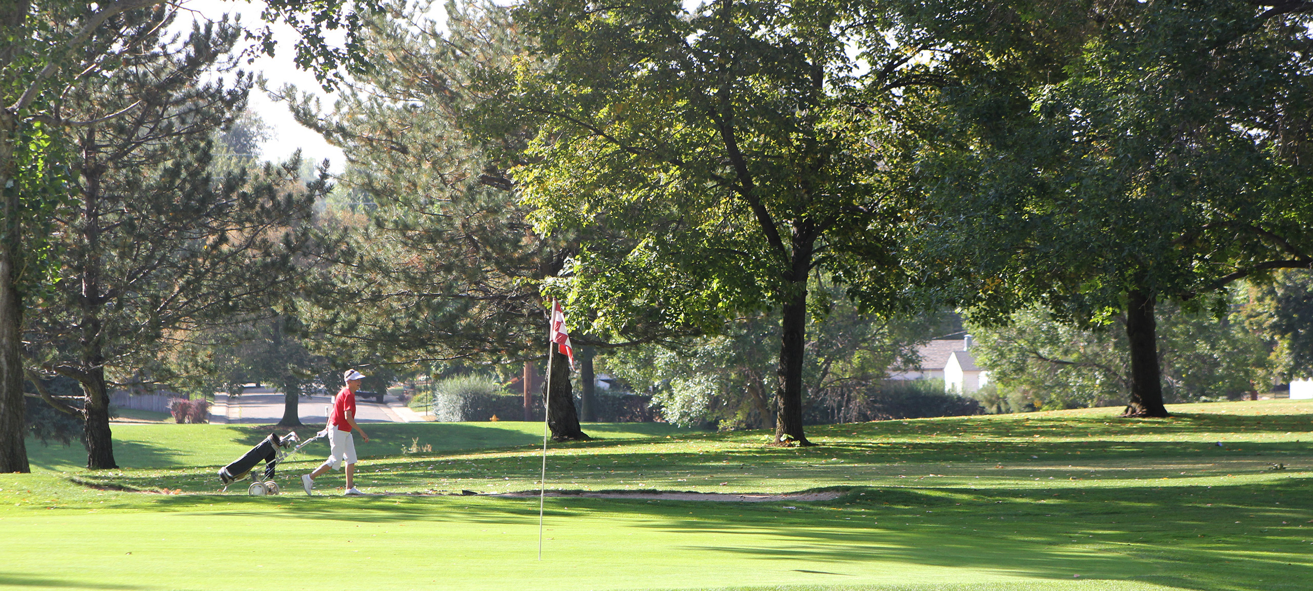 Rosedale / Harvard Gulch Homes for Sale, Metro Denver Communities