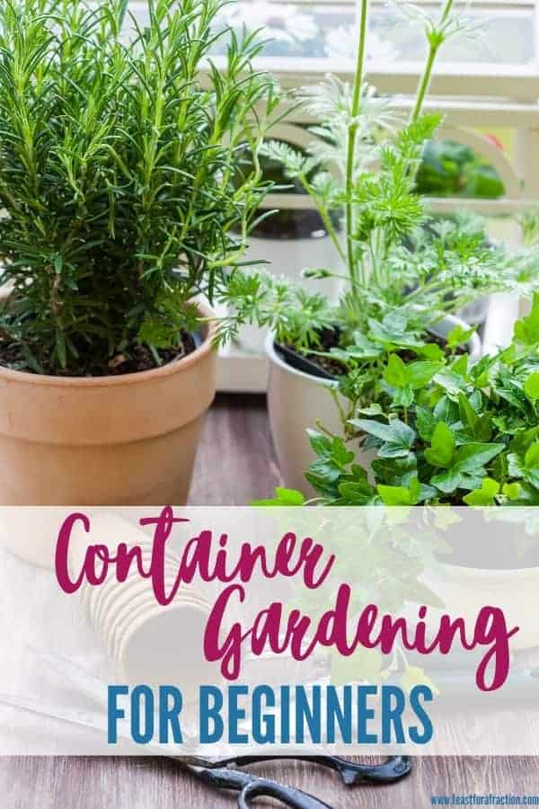 Container Gardening For Beginners Feast for a Fraction