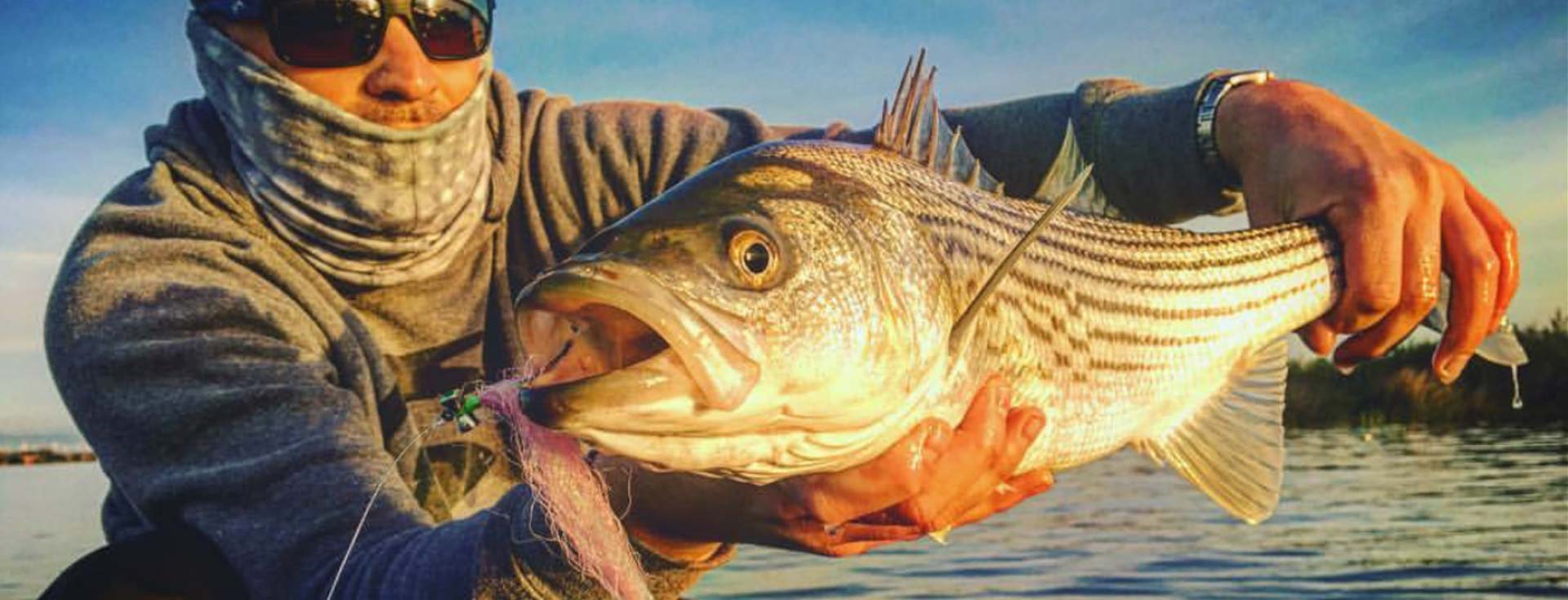 Feather Dog Outfitters Northern California Hunting Guide and Outfitters