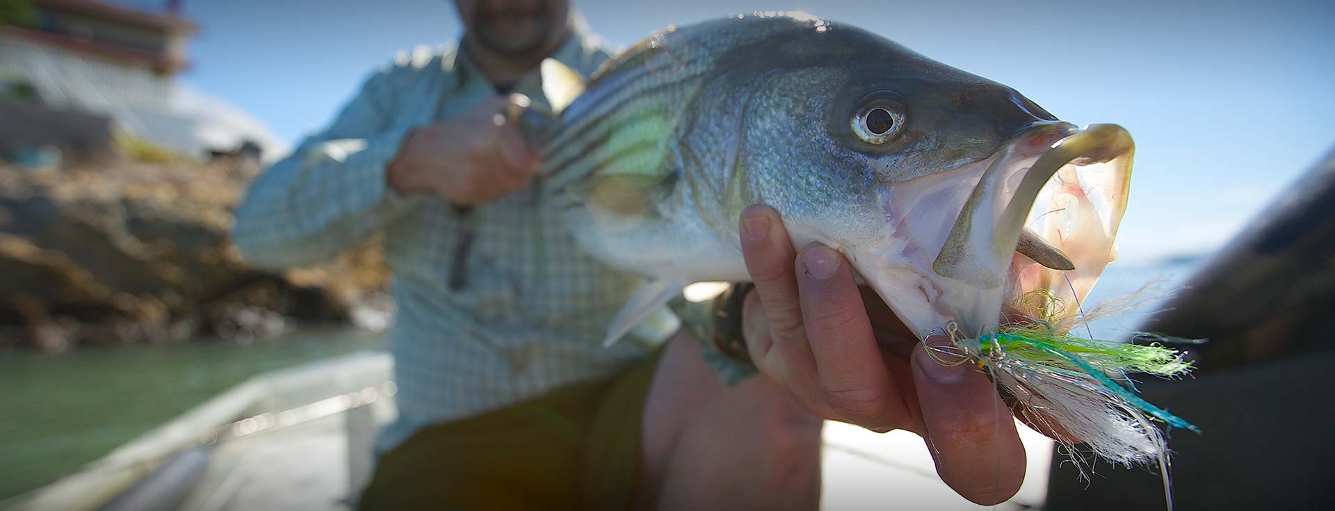 Feather Dog Outfitters Northern California Hunting Guide and Outfitters