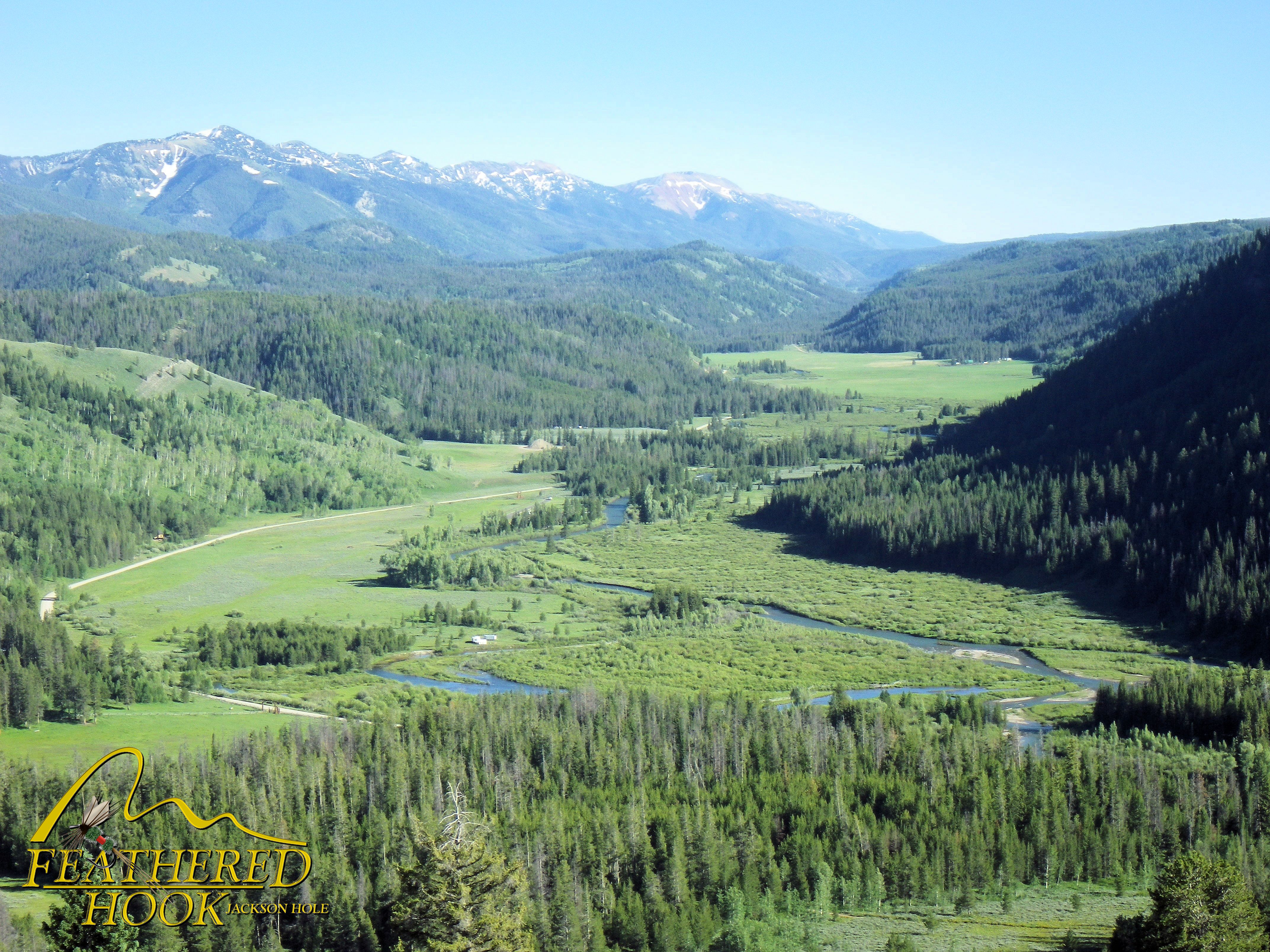 Greys River Wyoming Fishing Feathered Hook of Jackson Hole