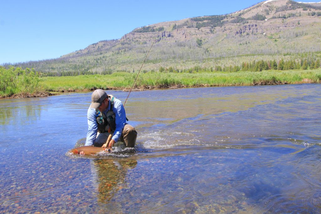 Wyoming Cutt Slam Fly Fishing Challenge Feathered Hook