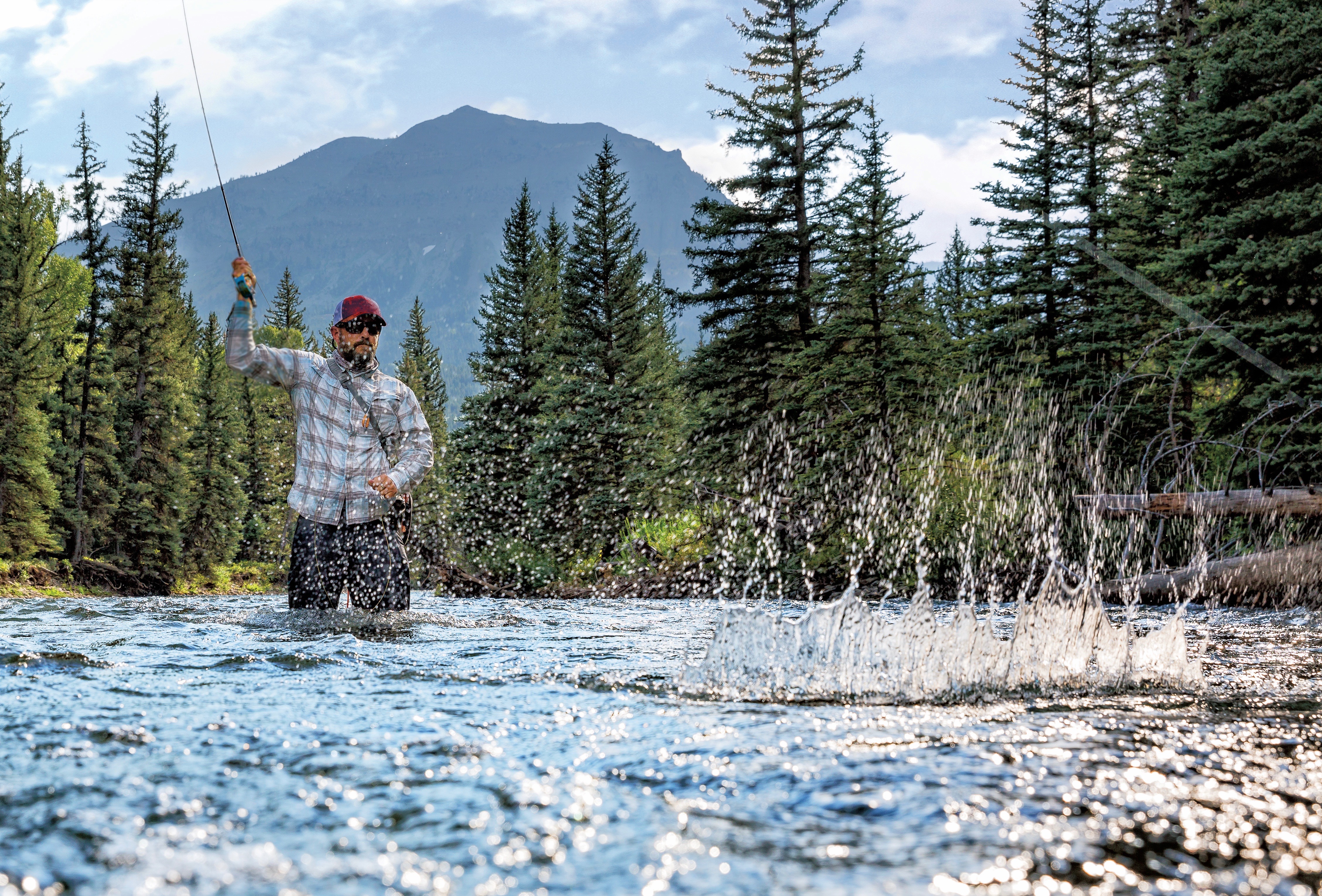 Feathered Hook of Jackson Hole Wyoming Fly Fishing Guides
