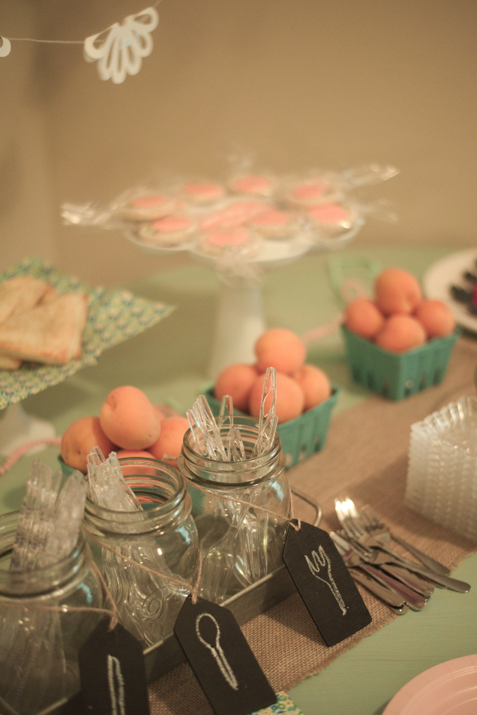 Baby Apricot's Surprise Shower! Feathers in Our Nest