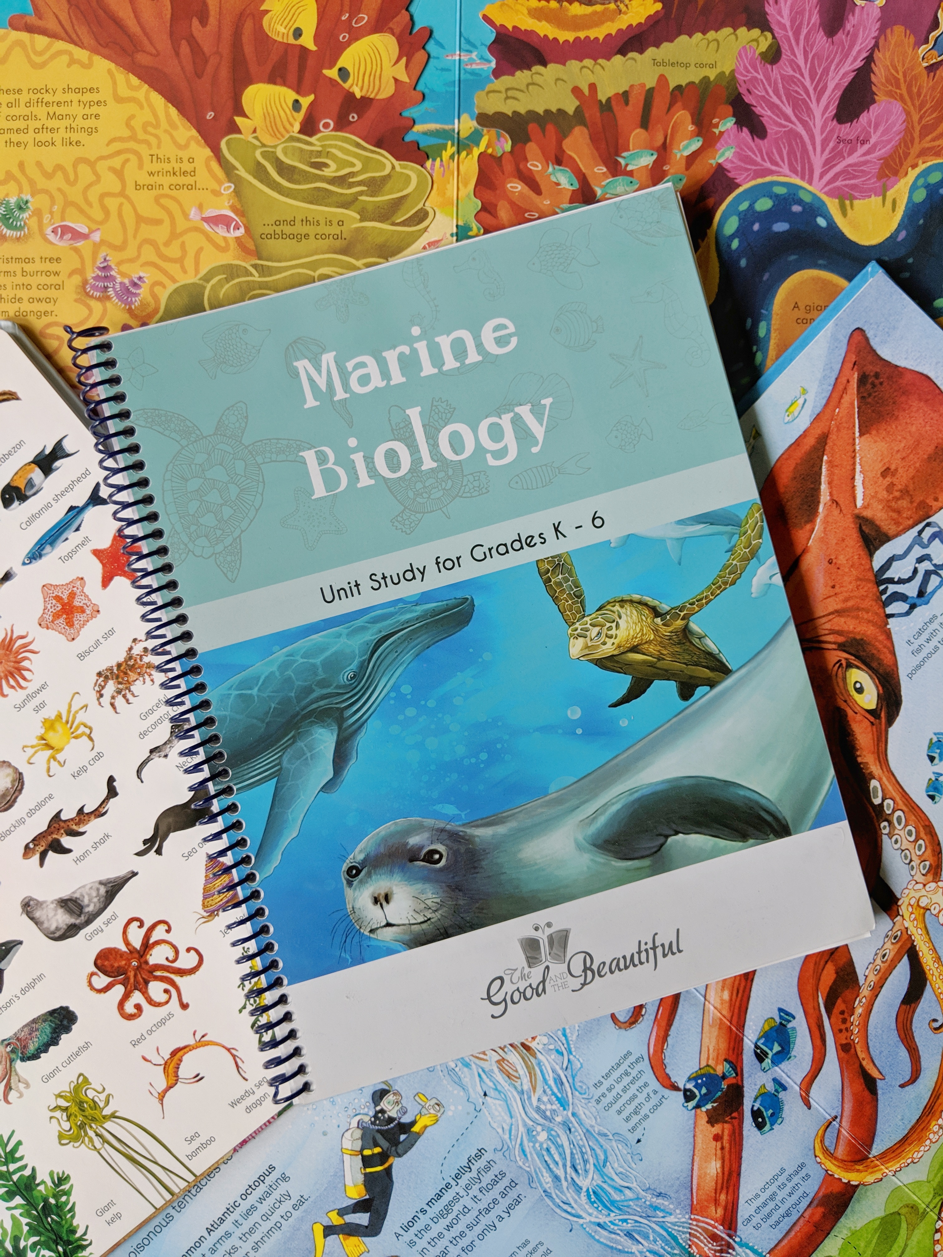 Marine Biology Unit Study Resource List Feathers in Our Nest