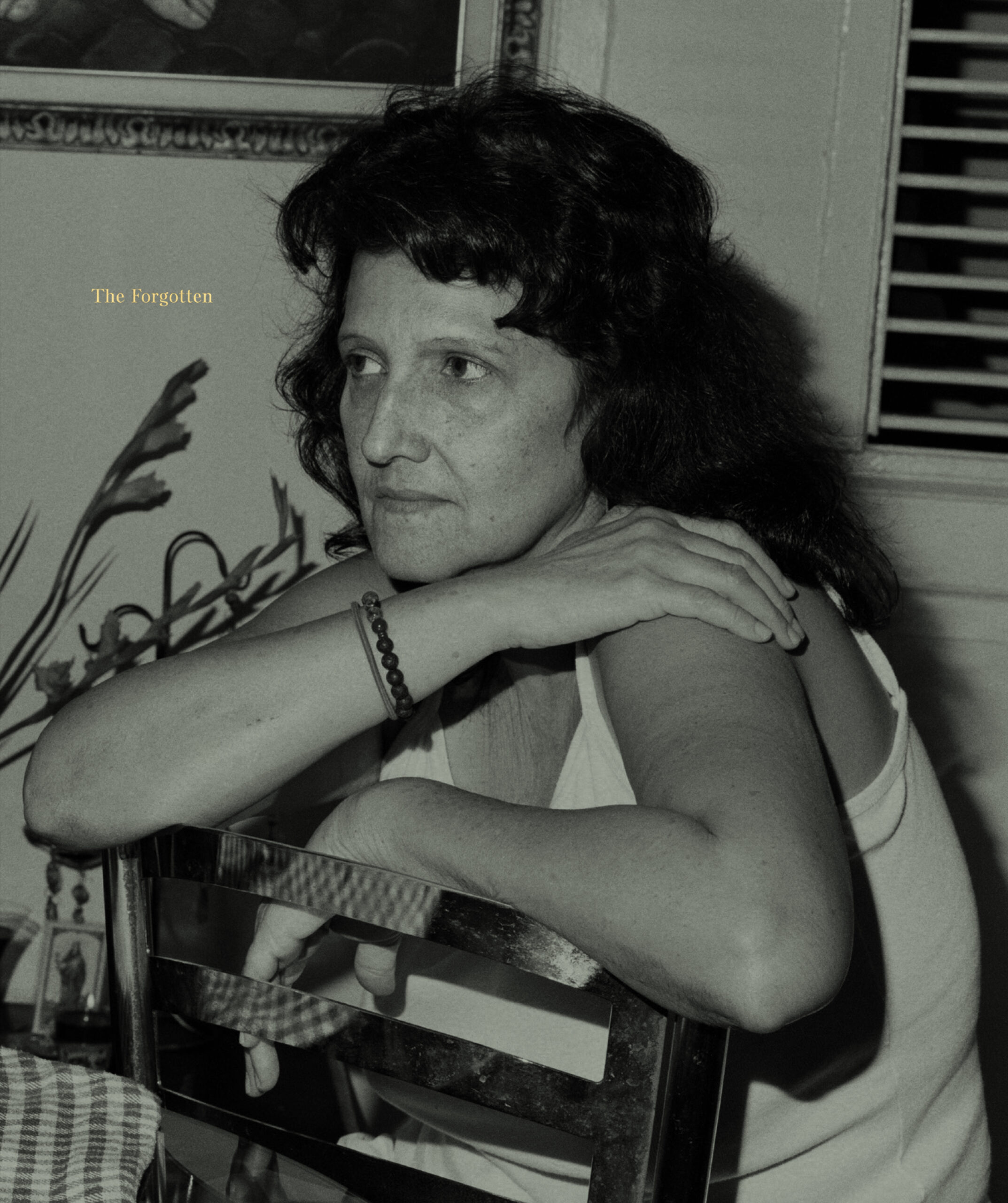 Rosalind Fox Solomon Traces the Scars of War LaptrinhX / News