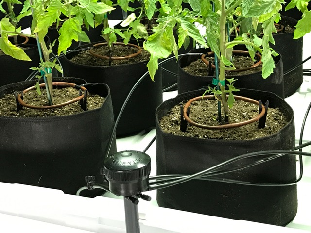 Hydroponic / Drip Federal Supply