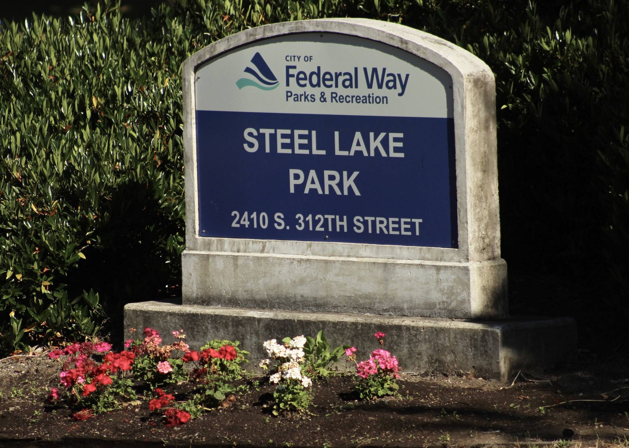 City of Federal Way to close Steel Lake Park Federal Way Mirror