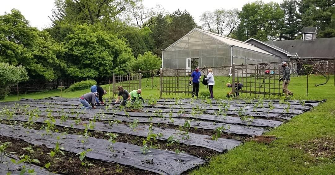 New Partnership with Brucemore Historic Garden to Grow Produce for