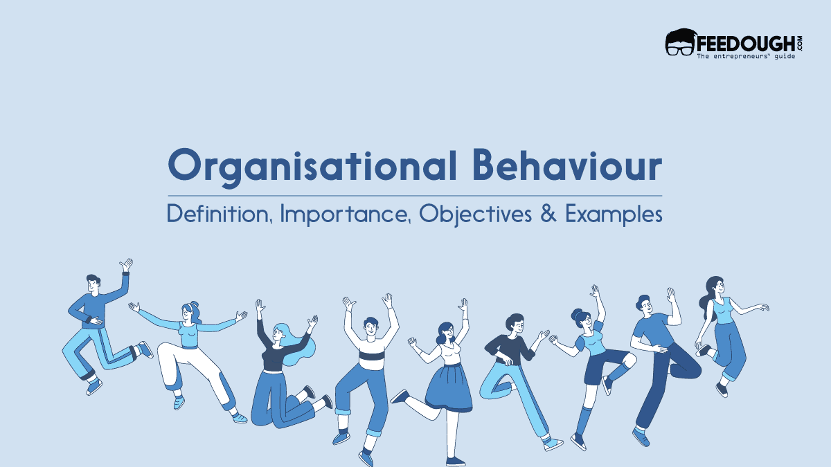 What Is Organisational Behaviour? Importance, Objectives & Examples