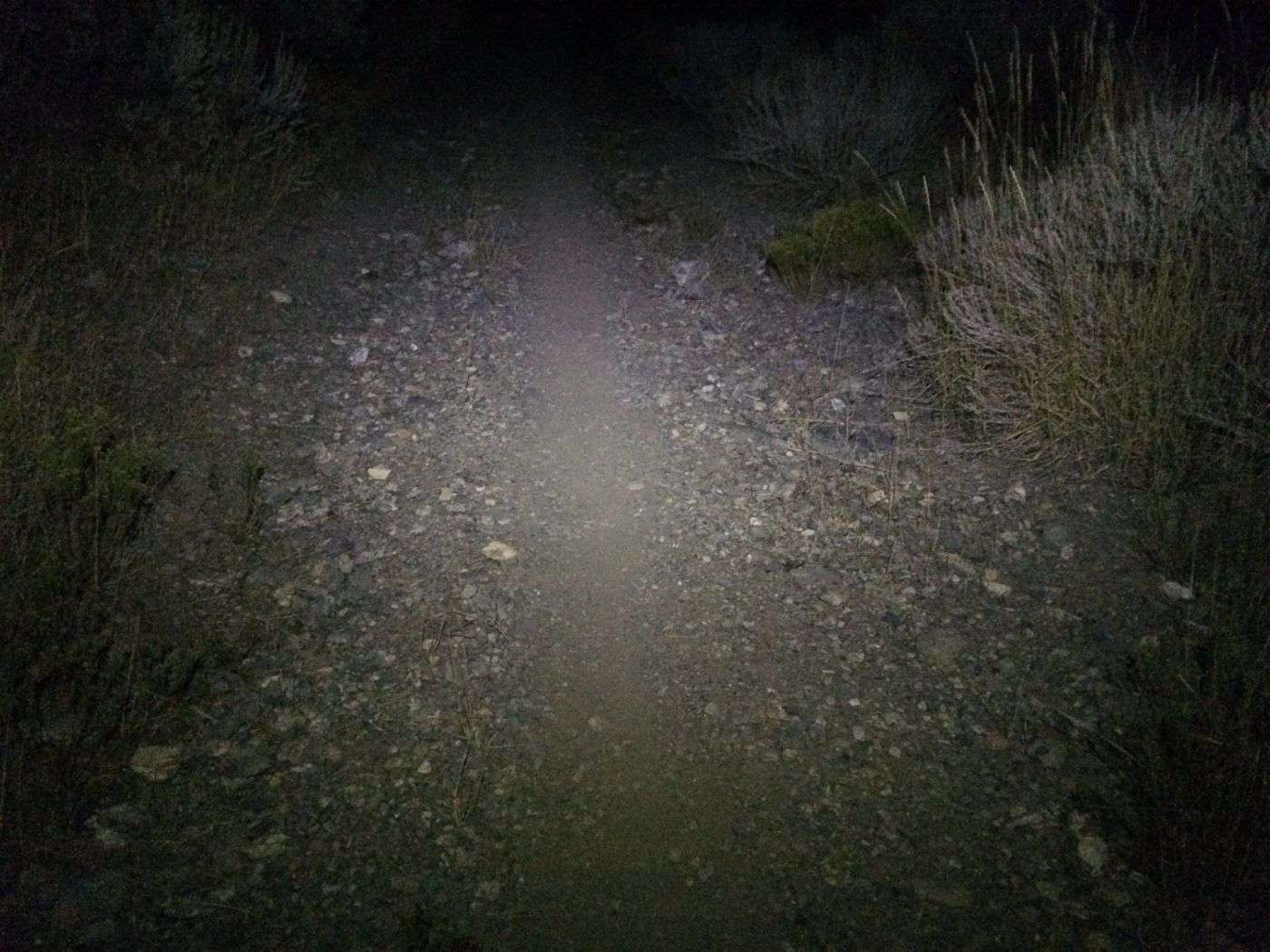 Black Diamond Sprinter Headlamp Review - FeedTheHabit.com