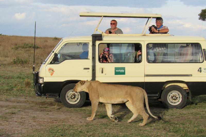 African Kenya Safari Tours Collette Plains of Africa