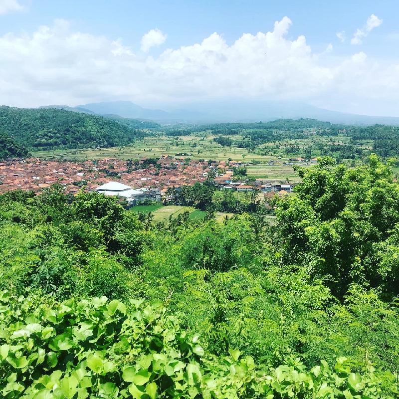 Kenwood Travel Reviews Customer Service Reviews for https//www.feefo