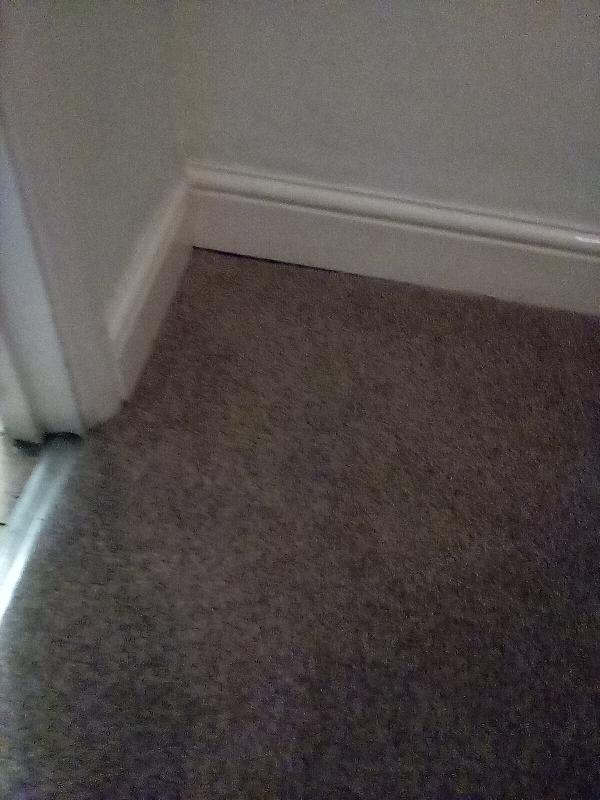 Online Carpets Reviews Customer Service Reviews for https//www.feefo