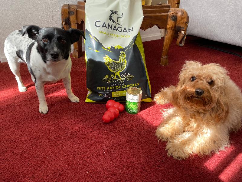 Canagan FreeRange Chicken Dry Dog Food Reviews Pets Corner Reviews
