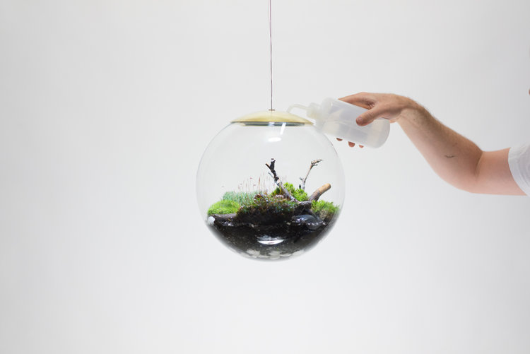 Aerial Terrarium made in Brooklyn Feel Desain your daily dose of creativity