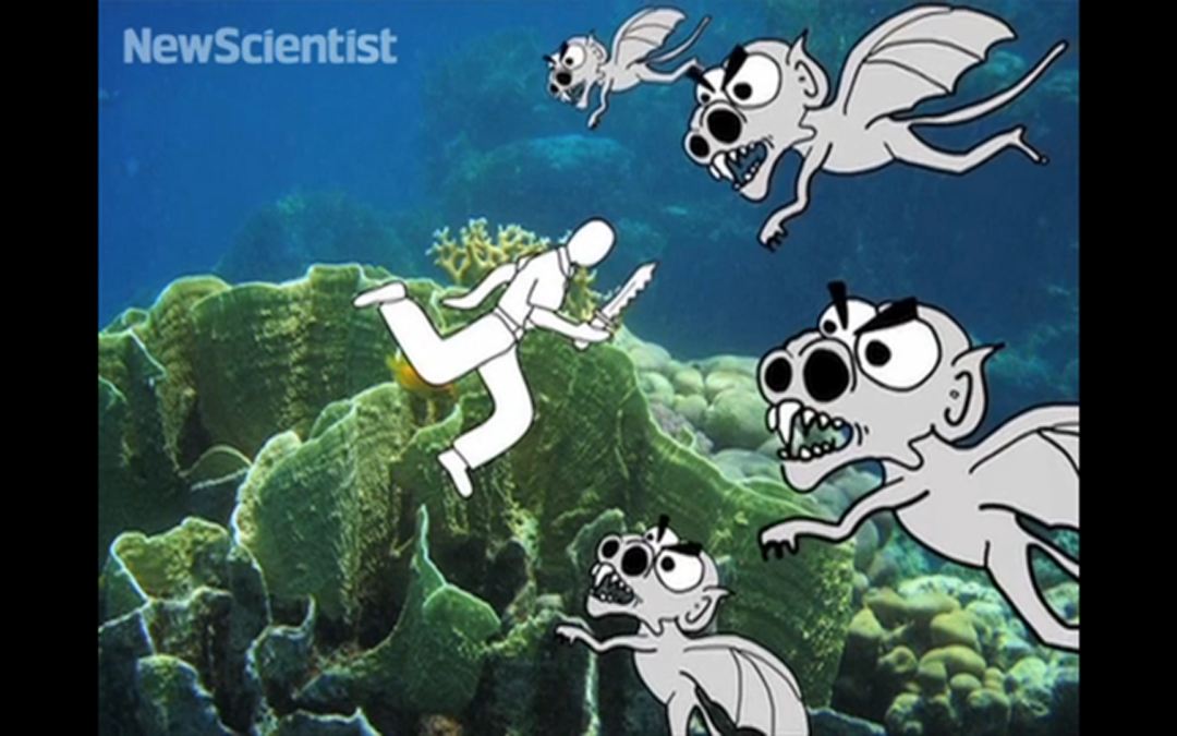 3Minute Animation Gives Concise Look At The Purposes Of REM And Non