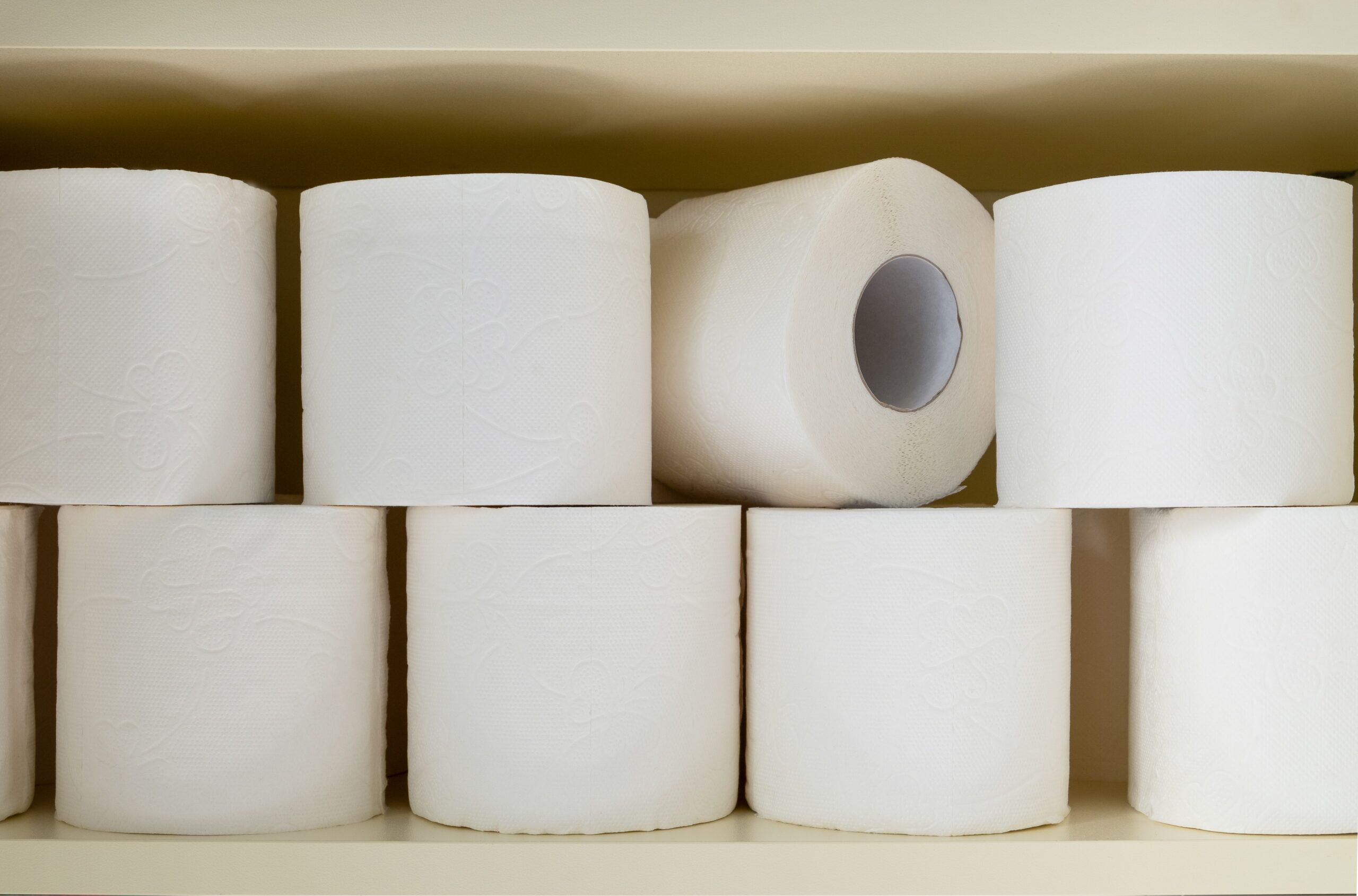 Best Tissue Paper Manufacturing in Dubai,UAE Feel Tissue