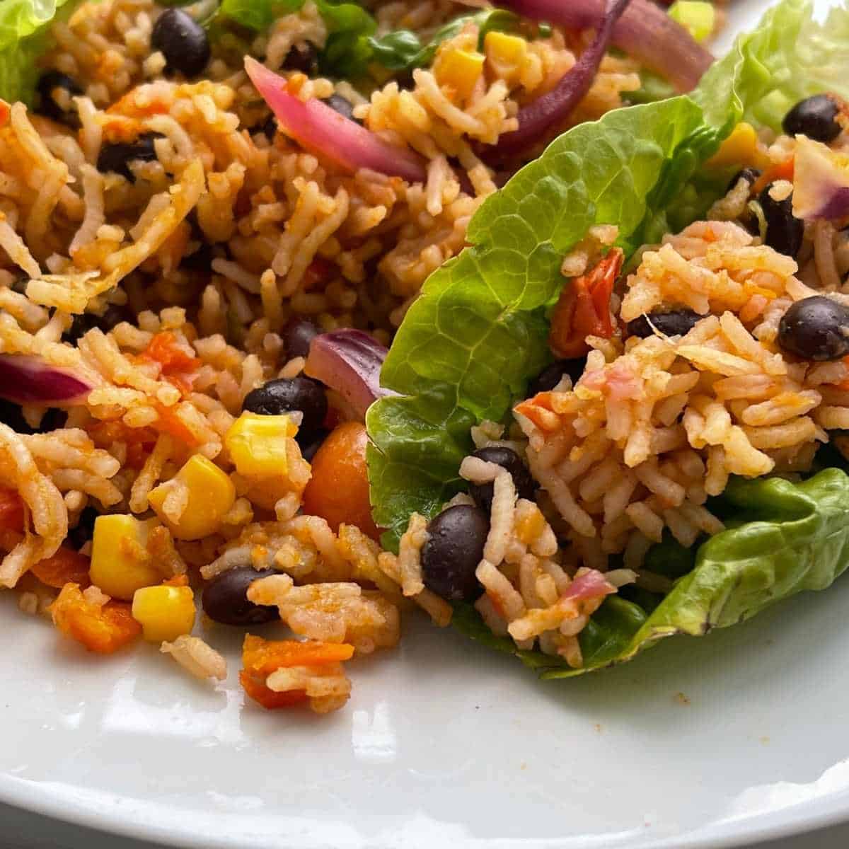Pressure Cooker Mexican Rice Feisty Tapas